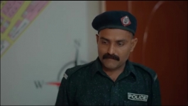 Best of - Mohabbat Satrangi